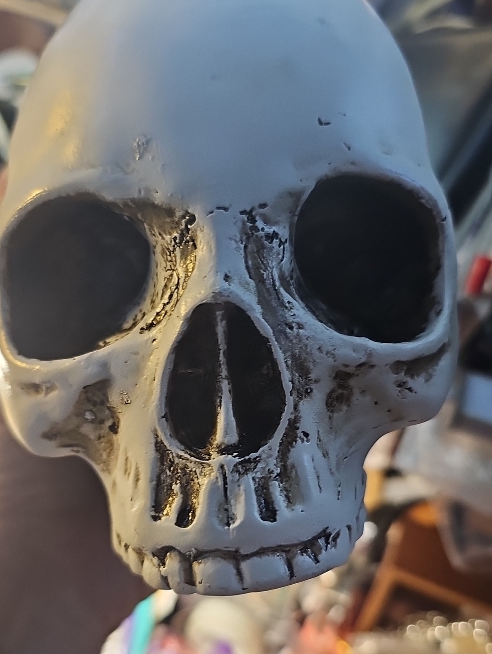 Harry Potter Skull head Realistic